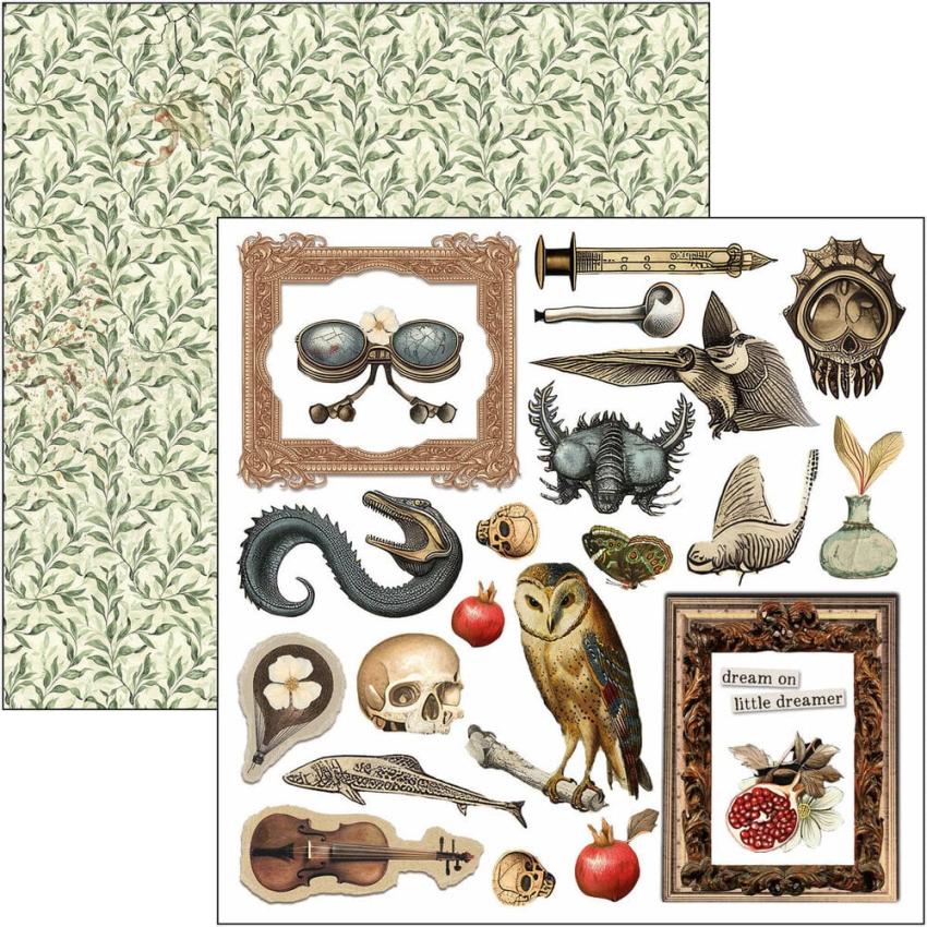 Ciao Bella - Stanzteile "Cabinet of Curiosities" Fussy Cut Pad - 24 Bogen