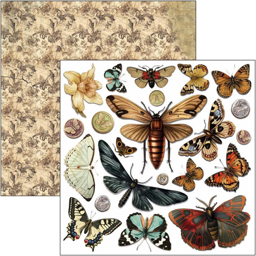 Ciao Bella - Stanzteile "Cabinet of Curiosities" Fussy Cut Pad - 24 Bogen