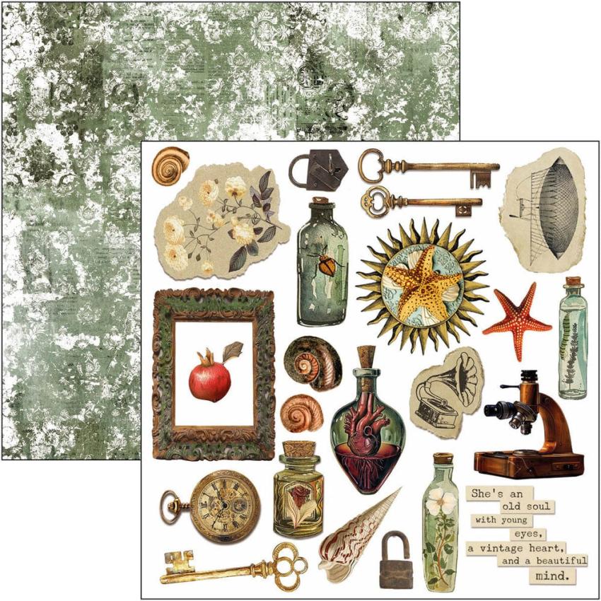 Ciao Bella - Stanzteile "Cabinet of Curiosities" Fussy Cut Pad - 24 Bogen