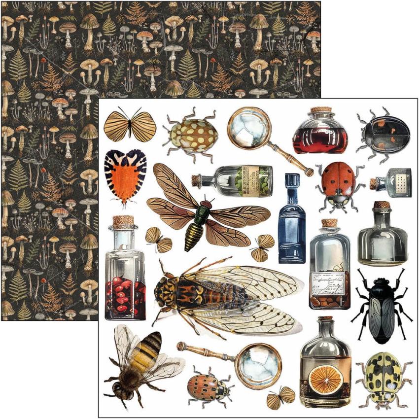 Ciao Bella - Stanzteile "Cabinet of Curiosities" Fussy Cut Pad - 24 Bogen
