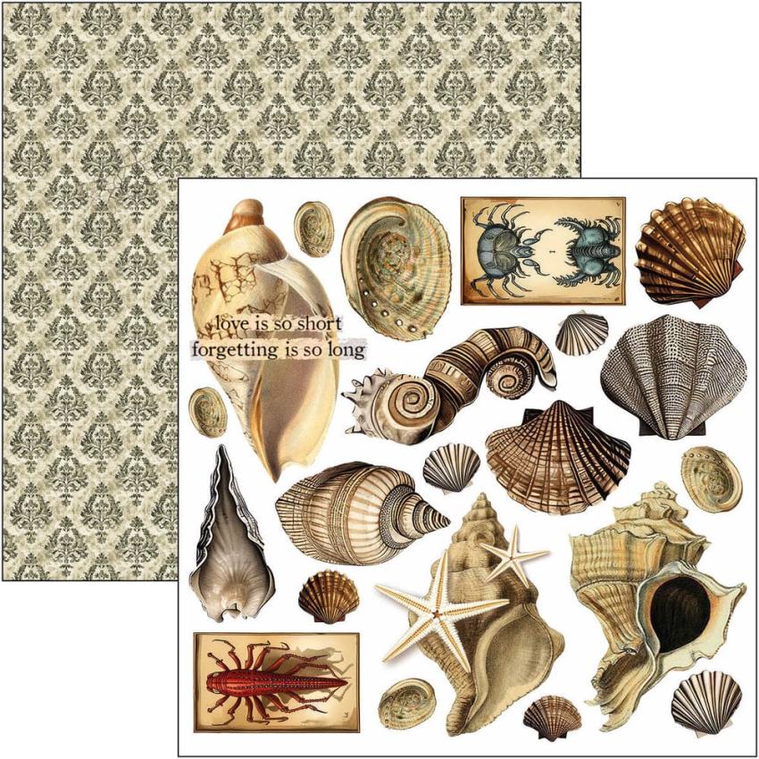 Ciao Bella - Stanzteile "Cabinet of Curiosities" Fussy Cut Pad - 24 Bogen