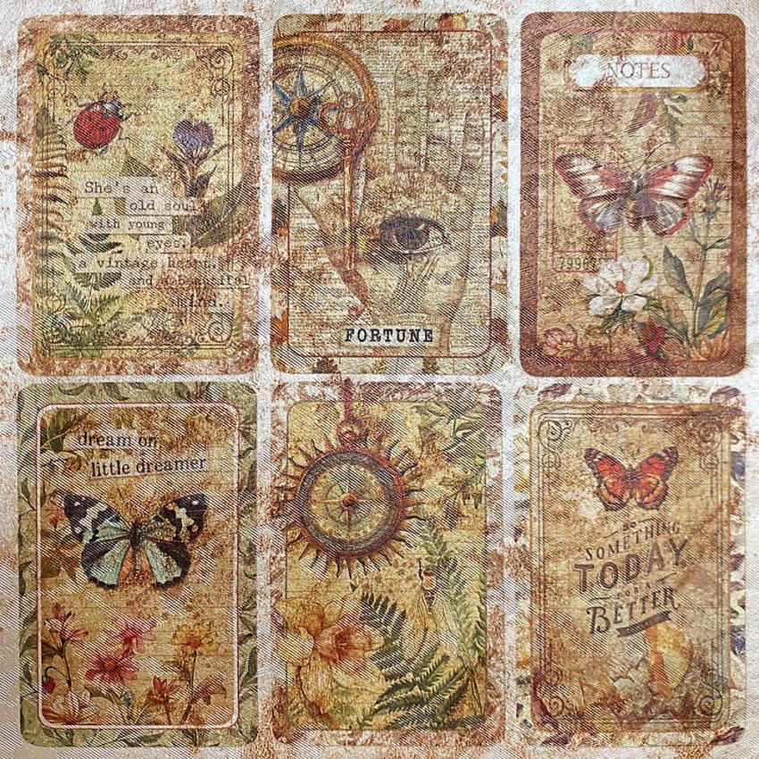 Ciao Bella - Designpapier "Cabinet of Curiosities Pearl-Copper" Deluxe Paper Pack 6x6 Inch - 5 Bogen
