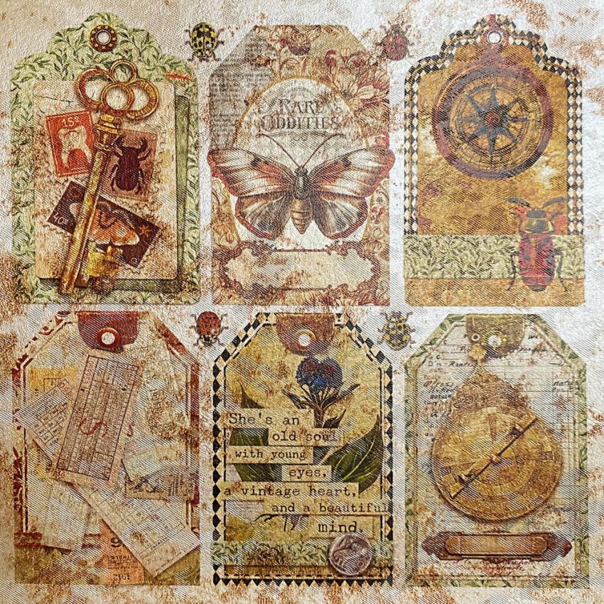 Ciao Bella - Designpapier "Cabinet of Curiosities Pearl-Copper" Deluxe Paper Pack 6x6 Inch - 5 Bogen