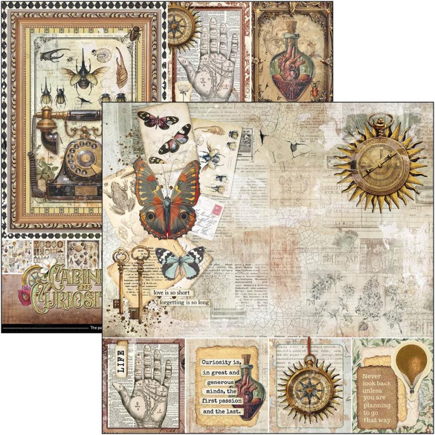 Ciao Bella - Designpapier "Cabinet of Curiosities" Paper Pack 12x12 Inch - 12 Bogen