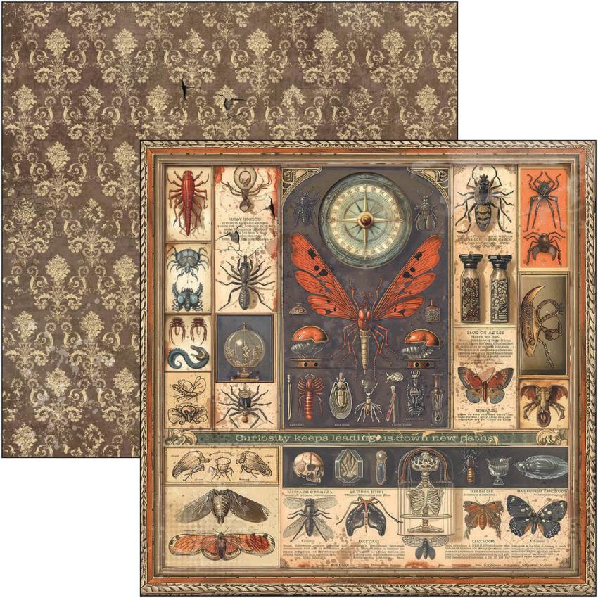 Ciao Bella - Designpapier "Cabinet of Curiosities" Paper Pack 12x12 Inch - 12 Bogen