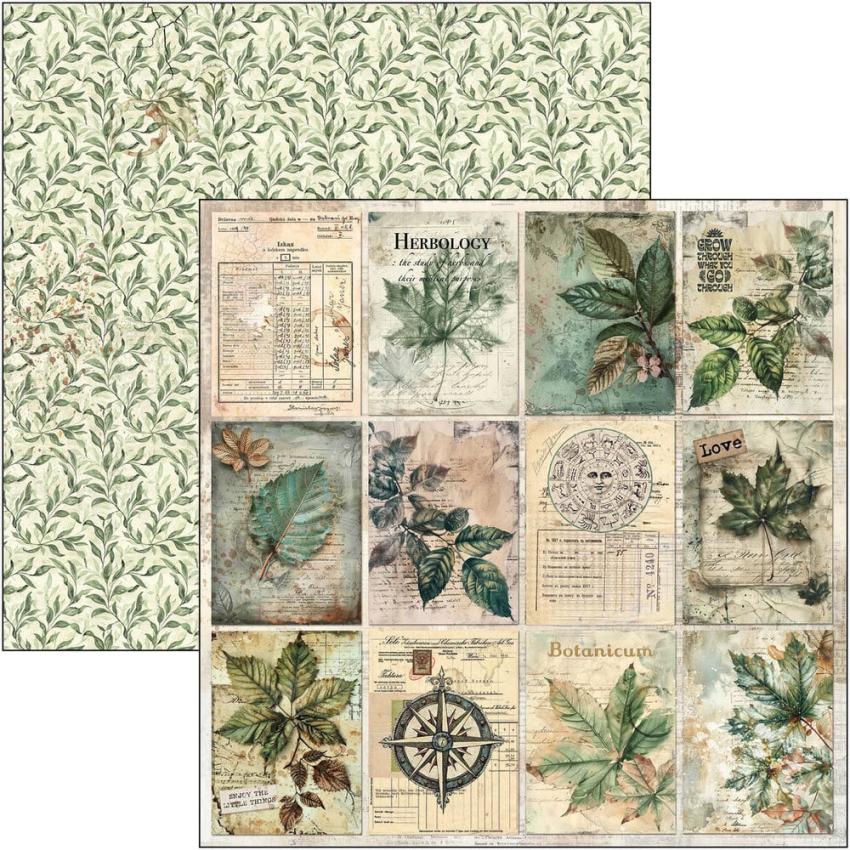 Ciao Bella - Designpapier "Cabinet of Curiosities" Paper Pack 12x12 Inch - 12 Bogen
