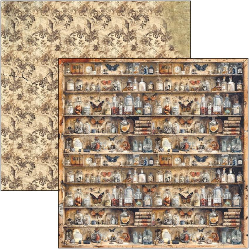 Ciao Bella - Designpapier "Cabinet of Curiosities" Paper Pack 12x12 Inch - 12 Bogen