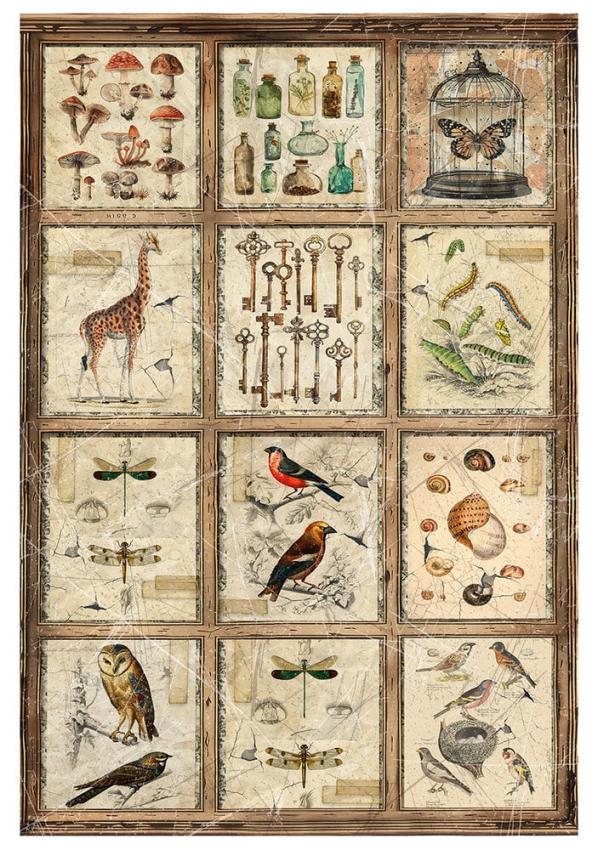 Ciao Bella - Decopatch Papier "Cabinet of Curiosites Mixed" Rice Paper A4 - 4 Bogen