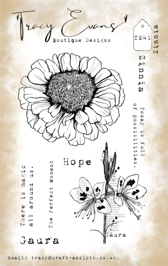 Tracy Evans - Stempelset "Zinnia" Clear Stamps
