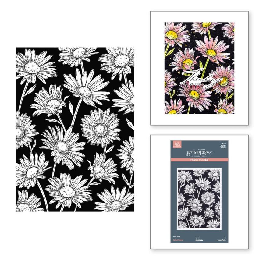 Spellbinders - Buchdrucktechnik "Daisy Shower" BetterPress Plate