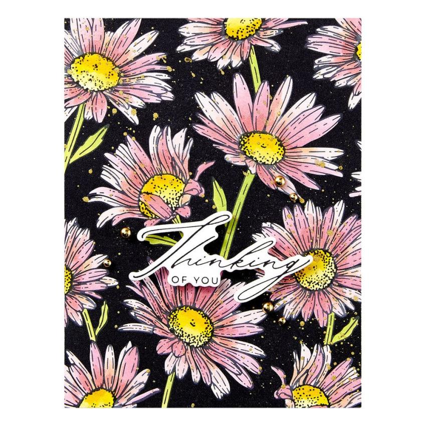 Spellbinders - Buchdrucktechnik "Daisy Shower" BetterPress Plate