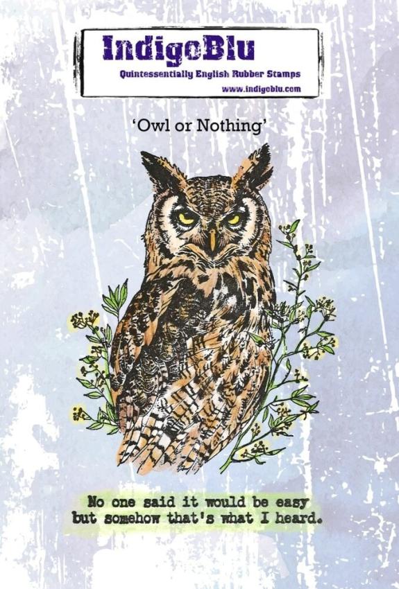 IndigoBlu - Gummistempel Set "Owl or Nothing" A6 Rubber Stamp