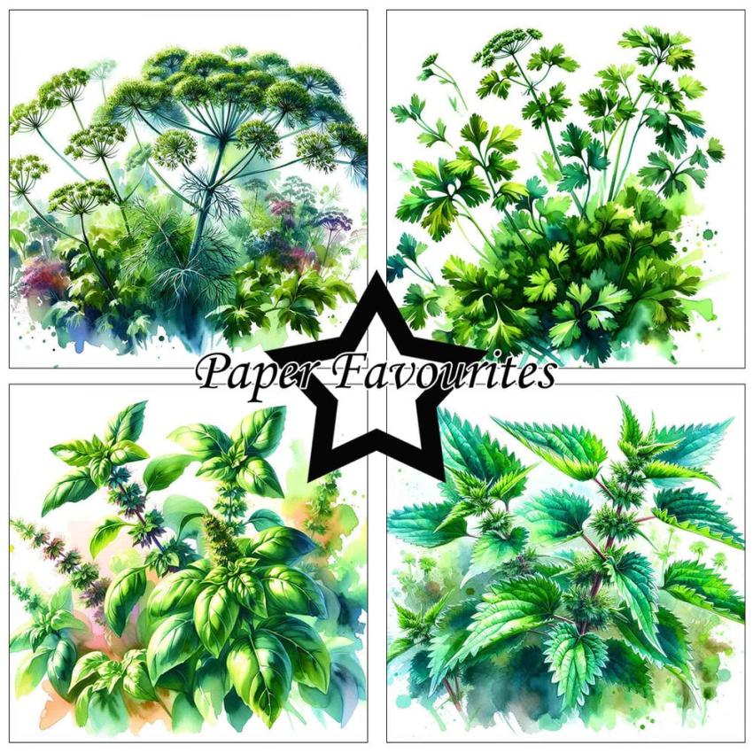 Paper Favourites - Designpapier "Herbs" Paper Pack 6x6 Inch - 24 Bogen