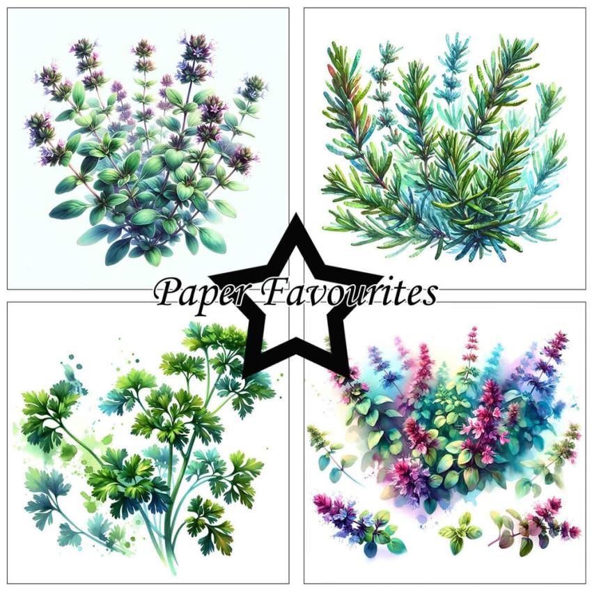 Paper Favourites - Designpapier "Herbs" Paper Pack 6x6 Inch - 24 Bogen