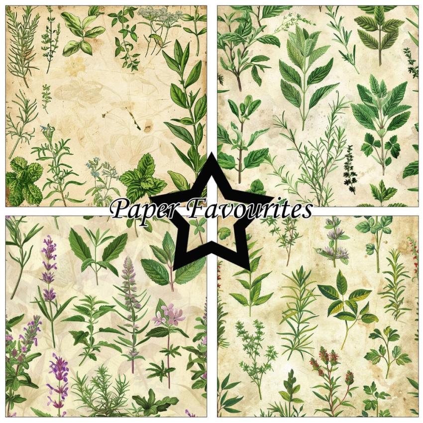 Paper Favourites - Designpapier "Kitchen Herbs" Paper Pack 12x12 Inch 8 Bogen