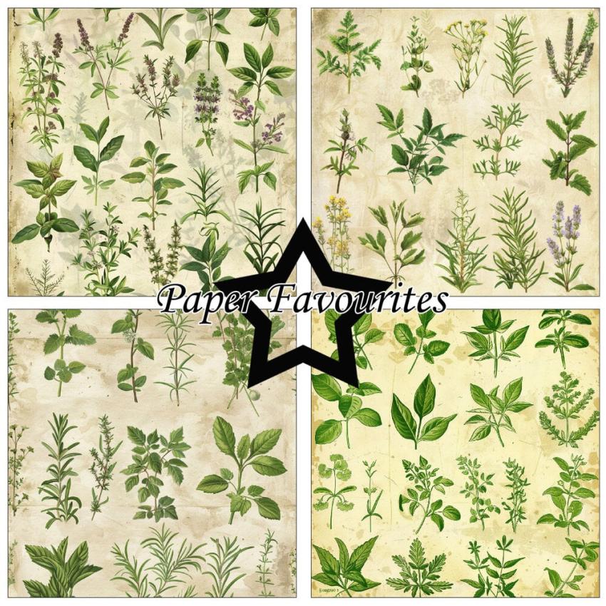 Paper Favourites - Designpapier "Kitchen Herbs" Paper Pack 12x12 Inch 8 Bogen