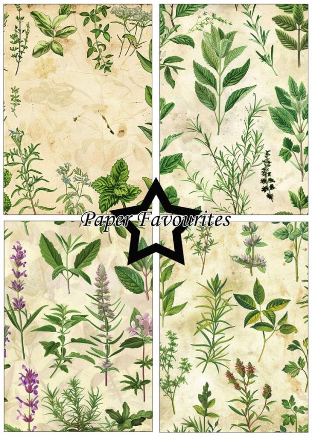 Paper Favourites - Designpapier "Kitchen Herbs" Paper Pack A5 - 24 Bogen
