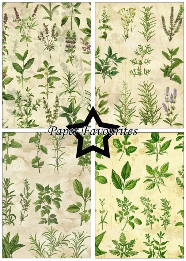 Paper Favourites - Designpapier "Kitchen Herbs" Paper Pack A5 - 24 Bogen