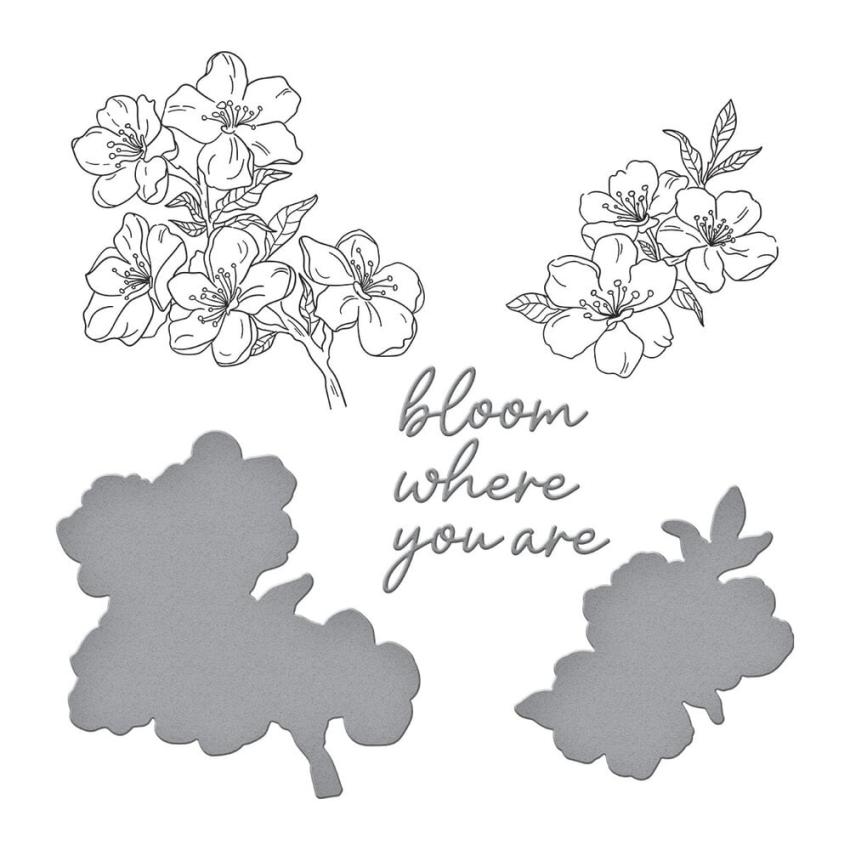 Spellbinders - Buchdrucktechnik "Cherry Blossoms" BetterPress Plate & Dies