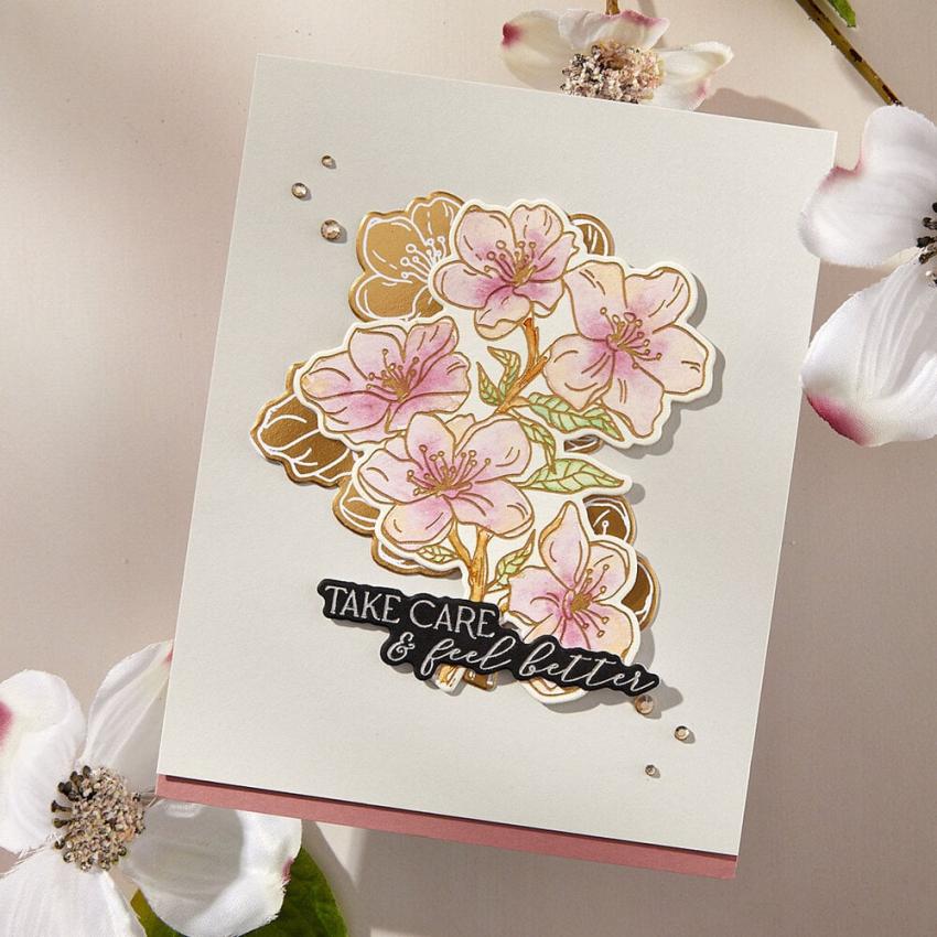 Spellbinders - Buchdrucktechnik "Cherry Blossoms" BetterPress Plate & Dies