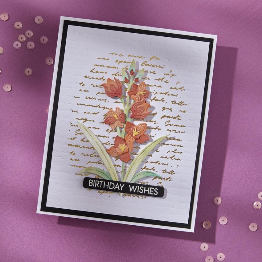 Spellbinders - Buchdrucktechnik "Script Tekst" BetterPress Plate