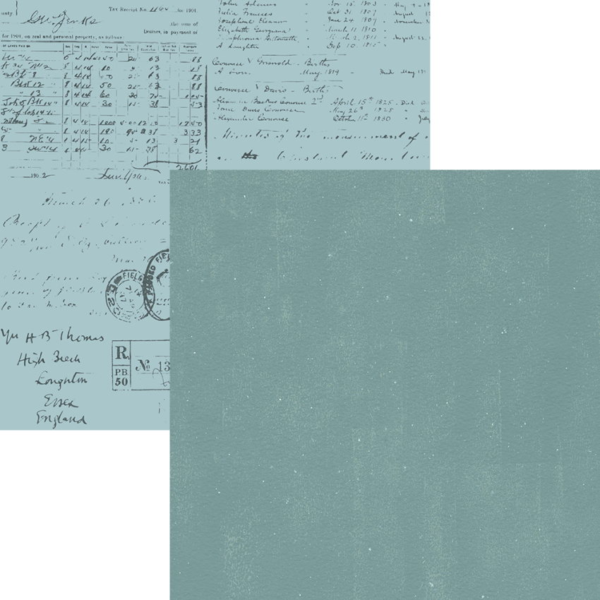 Elizabeth Craft Designs - Designpapier "Once in a Lifetime" Paper Pack 12x12 Inch - 12 Bogen