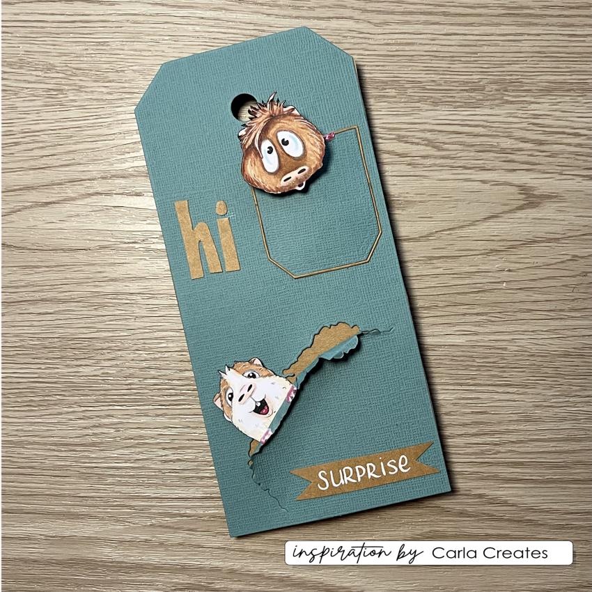 Vaessen Creative - Stempelset "Guinea Pigs 3" Clear Stamps Design by Carla Creates