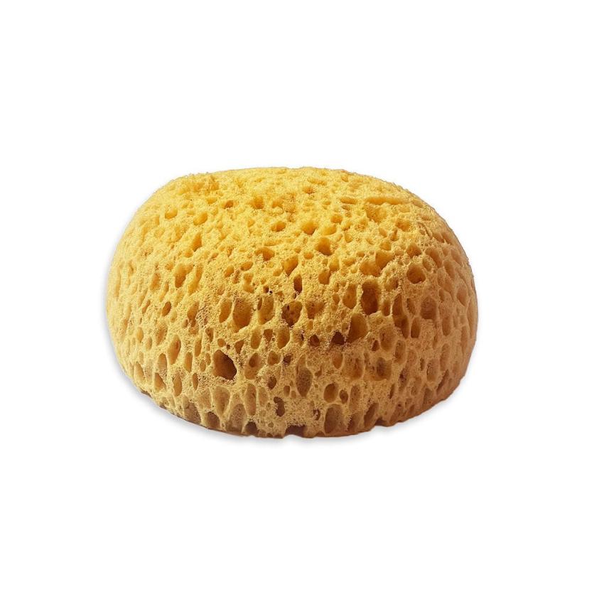 Stamperia - Mal-, Tupf- und Wischschwamm - Sponge Paint