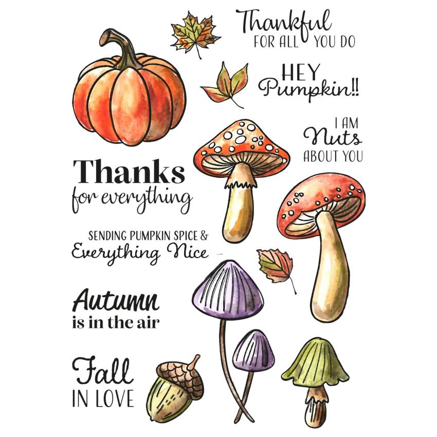 Vaessen Creative - Stempelset "Hey Kürbis" Clear Stamps