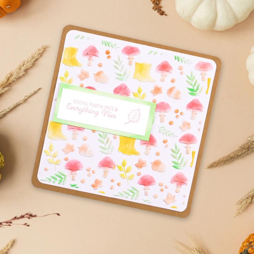 Vaessen Creative - Stempelset "Hey Kürbis" Clear Stamps