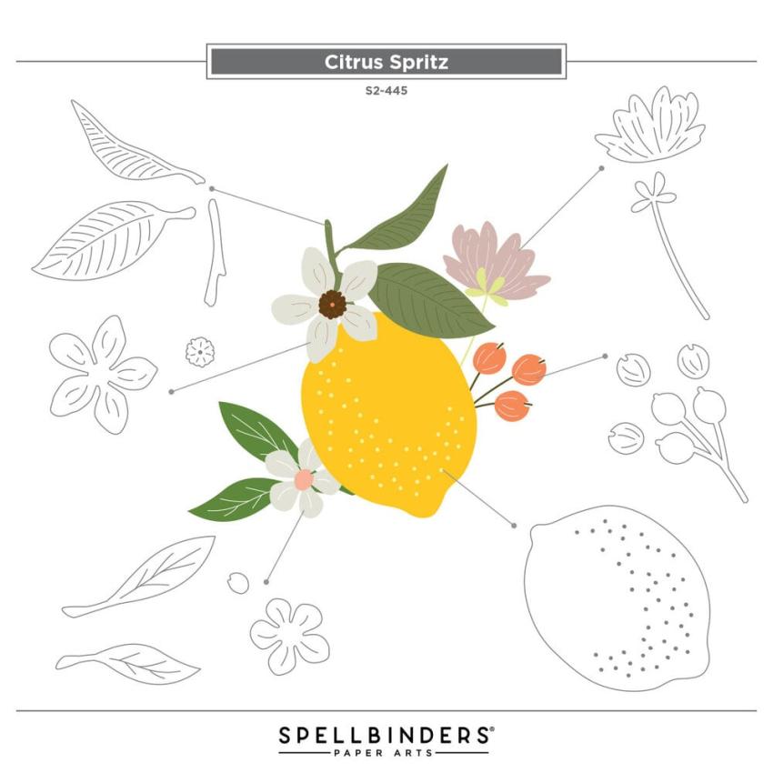 Spellbinders - Stanzschablone "Citrus Spritz" Dies