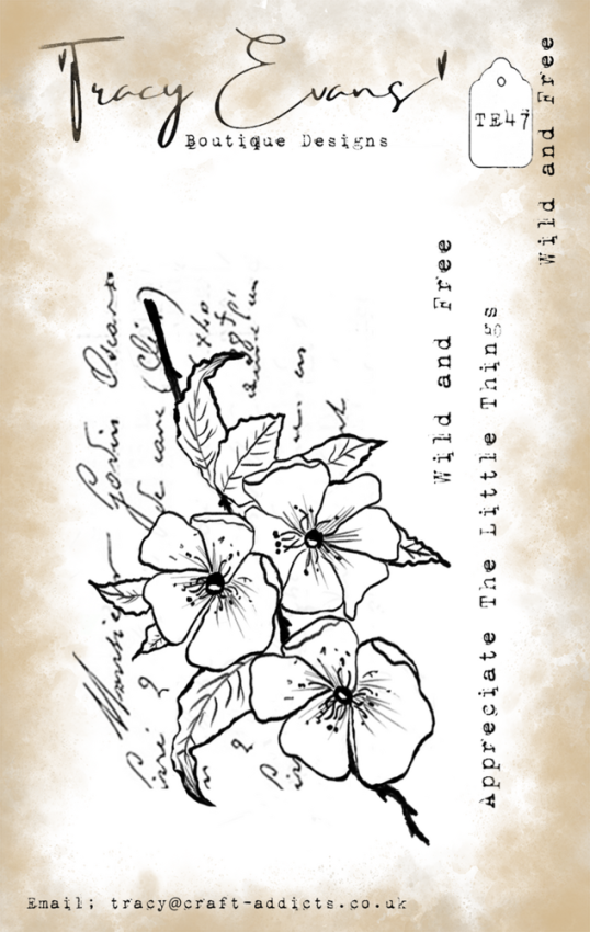 Tracy Evans - Stempelset "Wild and Free" Clear Stamps