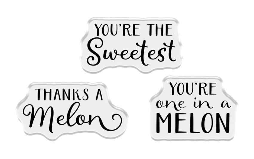 Crafters Companion - Stempelset & Stanzschablone "One in a Melon" Stamp & Dies