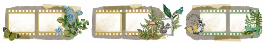Arden Creative Studio - Decorative Tape "Hidden Creek Filmstrip" Kiss Cut Pet Tape