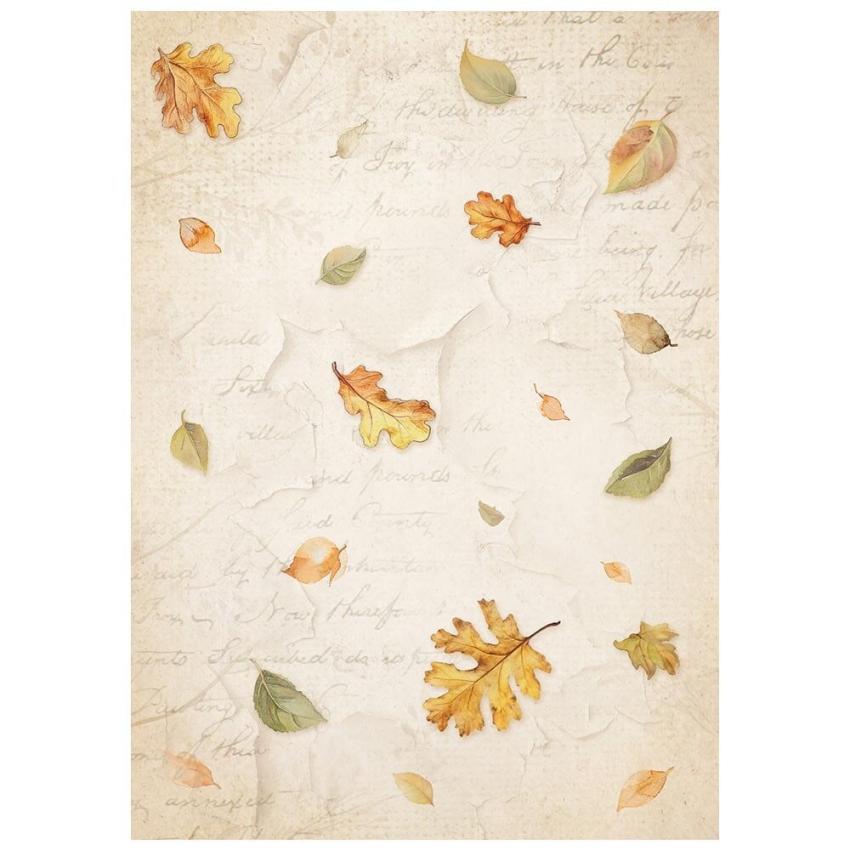 Stamperia - Decopatch Papier "Backgrounds" Decoupage A6 - 8 Bogen  