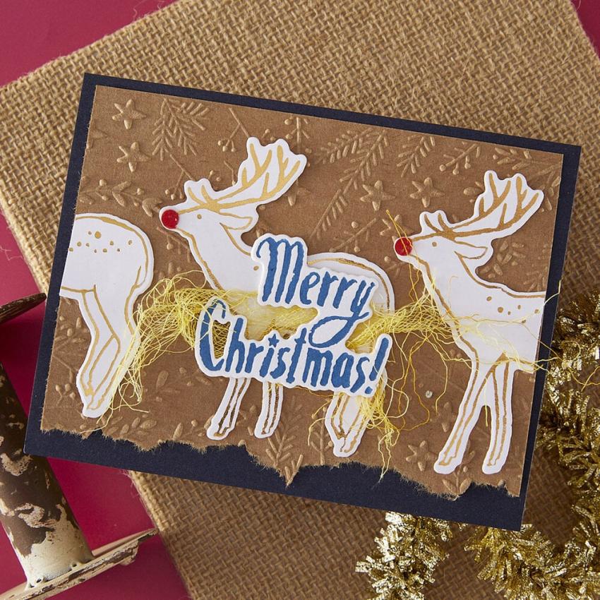 Spellbinders - Prägefolder "Starry Holiday" Embossingfolder