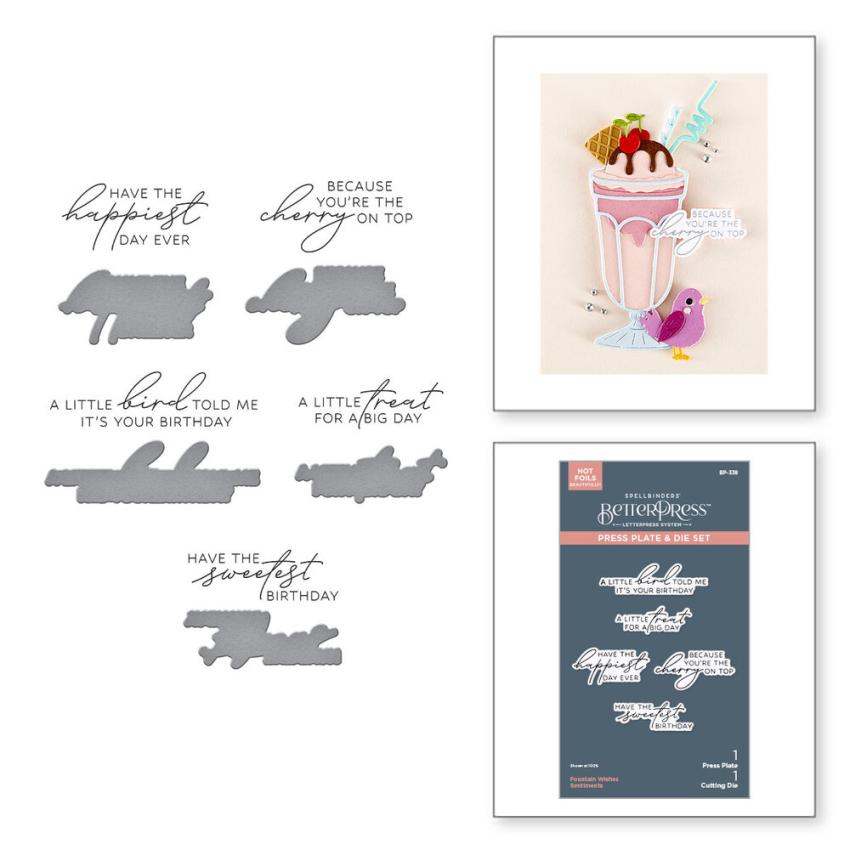Spellbinders - Buchdrucktechnik "Fountain Wishes Sentiments" BetterPress Plate & Dies