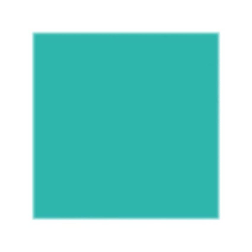 Cricut Joy Xtra™ - Smart Vinyl Permanet Matte™ "Sampler Beachside"