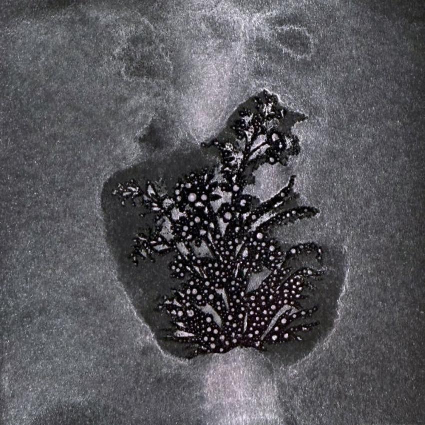 Lindys Stamp Gang - Glitz Spritz Spray "Lycan Lilac" 59ml