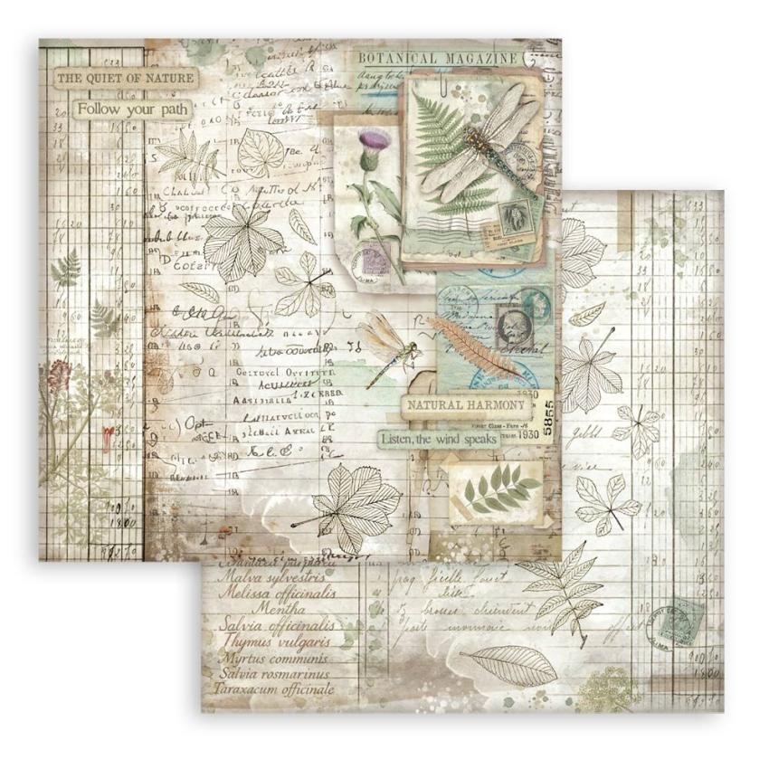 Stamperia - Designpapier "Herbarium Silvae" Paper Pack 8x8 Inch - 10 Bogen