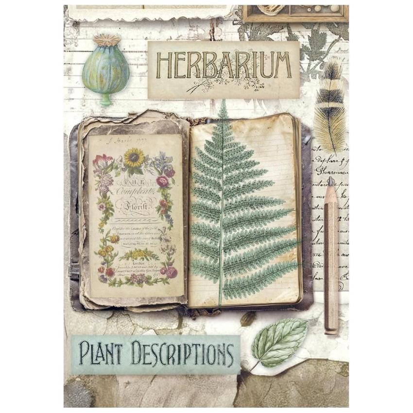 Stamperia - Decopatch Papier "Herbarium Silvae" Decoupage A6 - 8 Bogen  