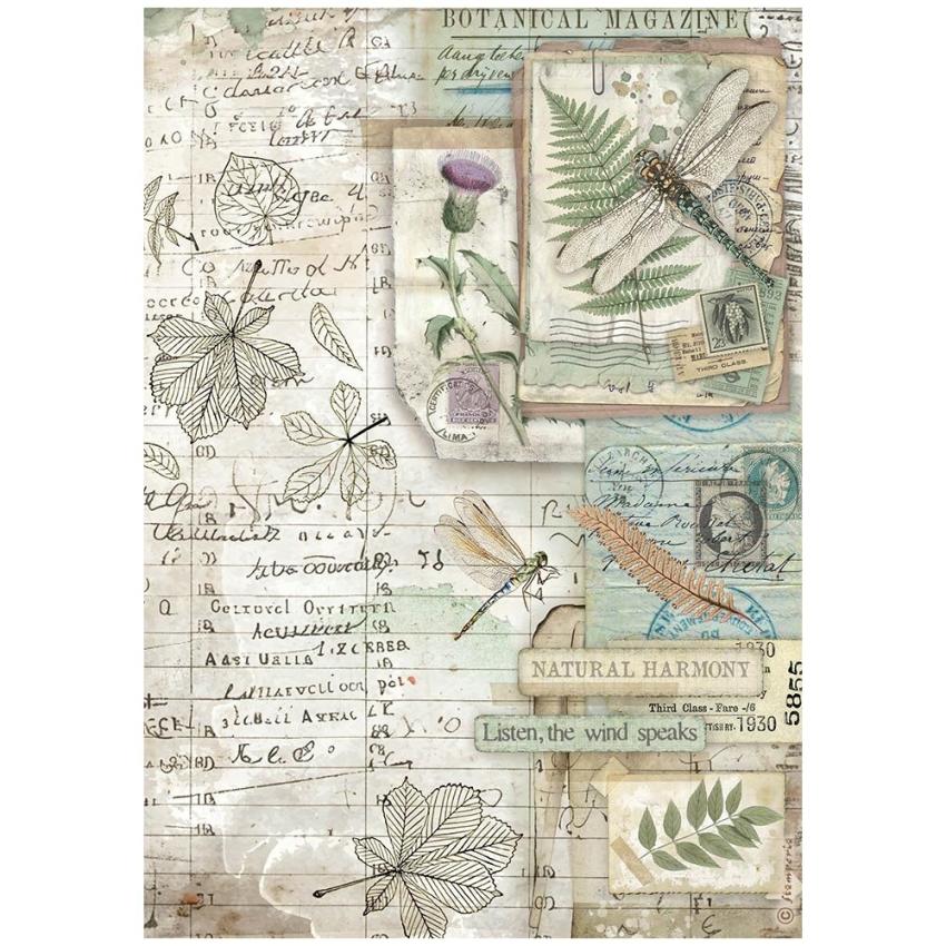 Stamperia - Decopatch Papier "Botanic" Decoupage A4 - 6 Bogen  