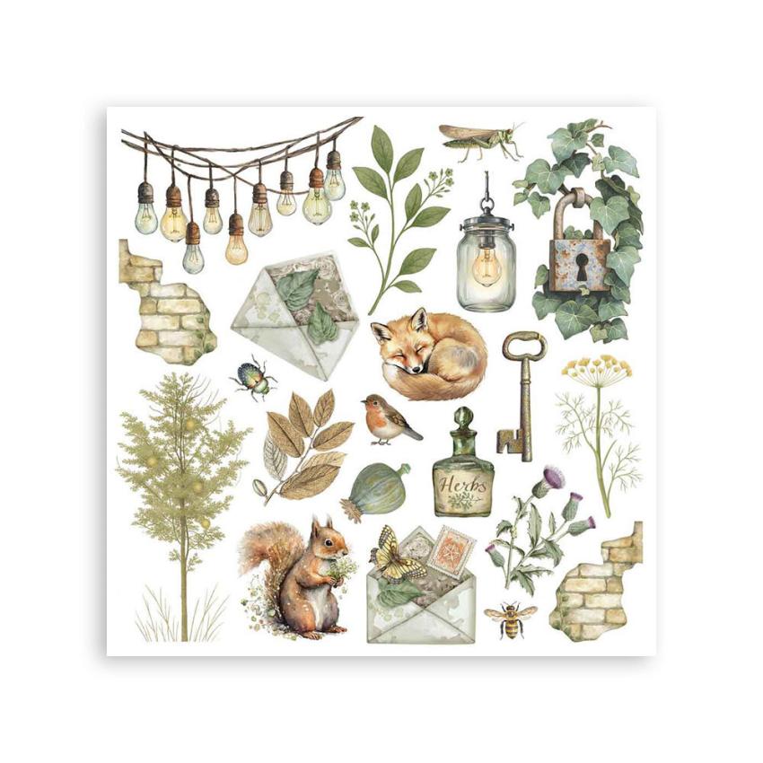 Stamperia - Transfer Aufkleber "Herbarium Silvae" Rub-On Kit
