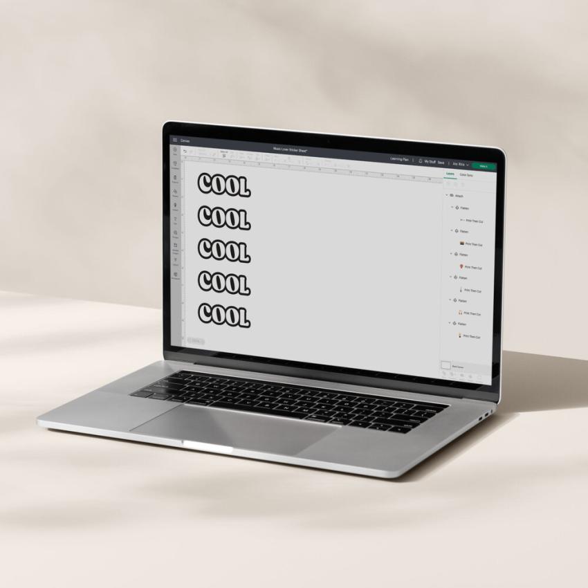 Cricut Printable Vinyl A4 - 12 Bogen