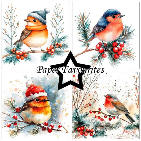 Paper Favourites - Designpapier "Christmas Birds" Paper Pack 6x6 Inch - 24 Bogen