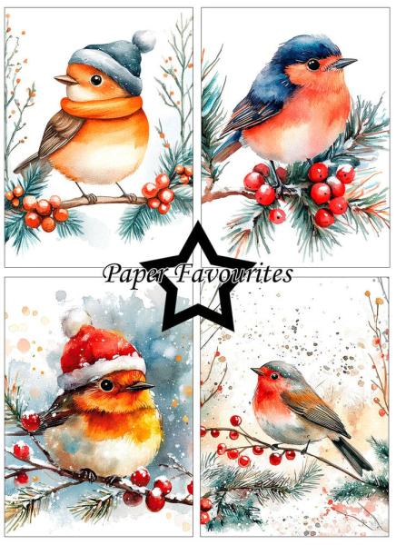 Paper Favourites - Designpapier "Christmas Birds" Paper Pack A6 - 24 Bogen