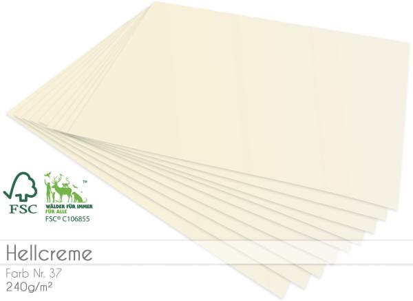 Cardstock "Premium" - Bastelpapier 240g/m² DIN A4 in hellcreme