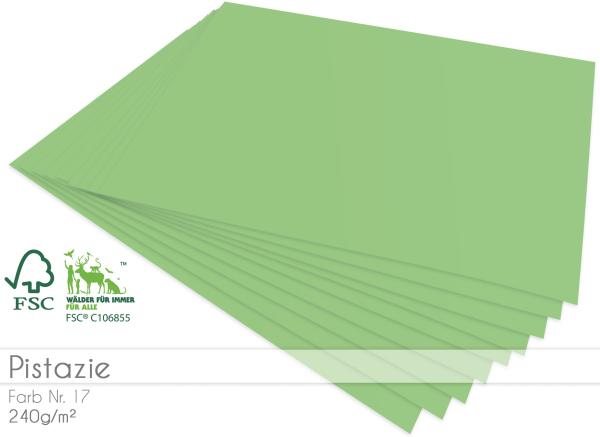 Cardstock "Premium" - Bastelpapier 240g/m² DIN A4 in pistazie