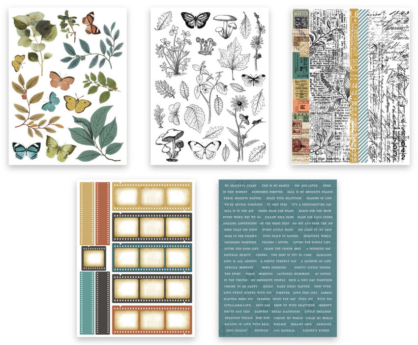 Arden Creative Studio - Sticker Book "Amber Ledgers" by Katie Pertiet