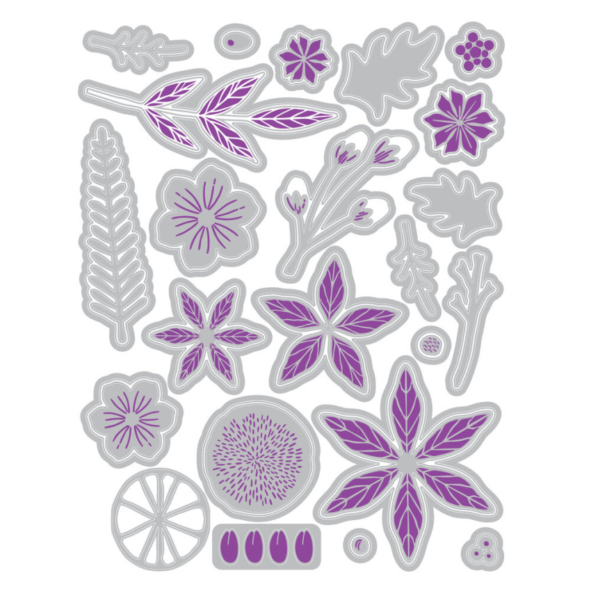 Sizzix - Stanzschablone & Stempelset "Winter Florals" Thinlits Craft Dies & Clear Stamps by by Vicki Boutin